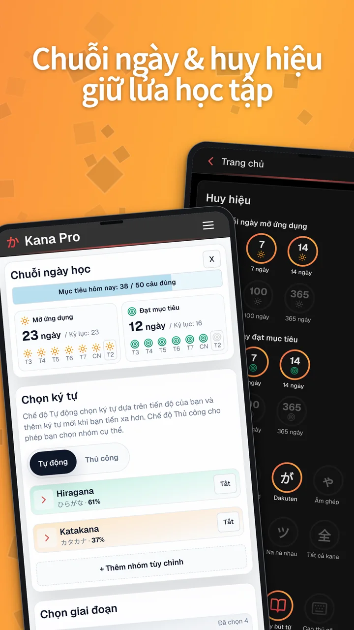 Ảnh chụp Android cho thấy thẻ chuỗi ngày học trên màn hình chính và huy hiệu trong phần thống kê.